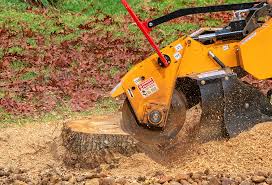 Best Lawn Renovation and Restoration  in Carbondale, IL
