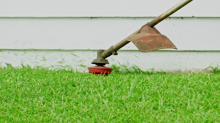 Tree and Shrub Care in Carbondale, IL